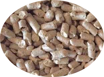 Casquinha de Soja